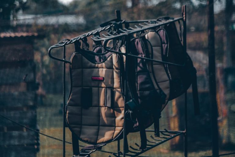 How to use an air fryer for the first time