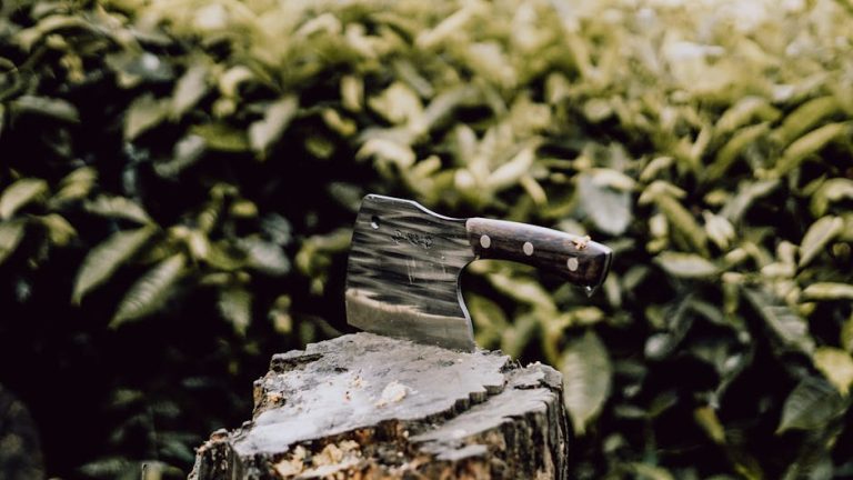 Best cleaver knives reviewed