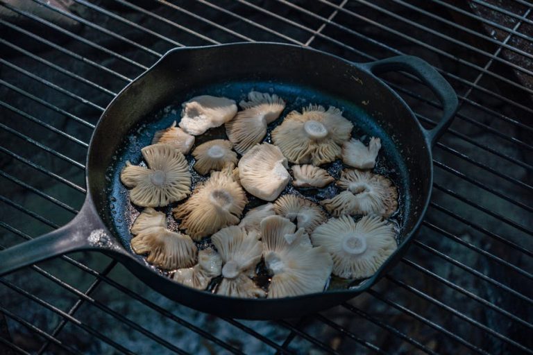 How to season and care for cast iron cookware