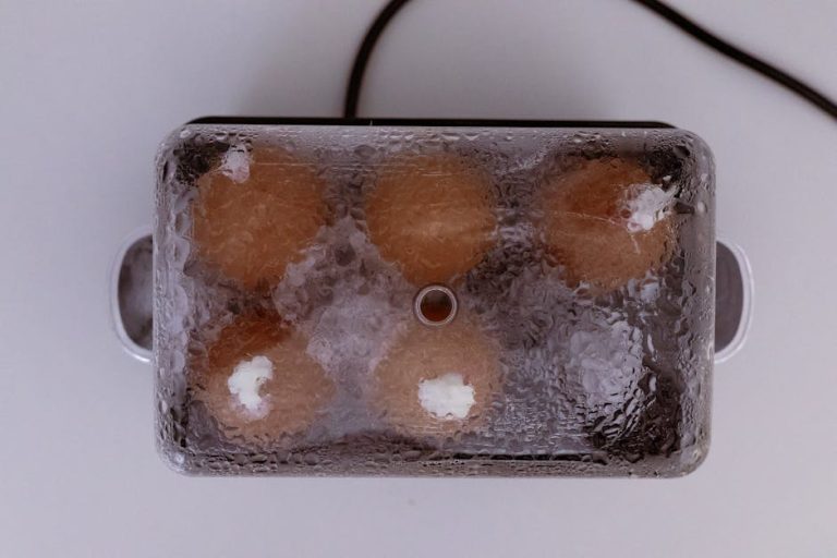 Best egg cookers reviewed