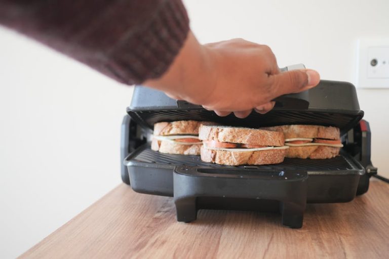 Indoor grilling appliances ranked by performance