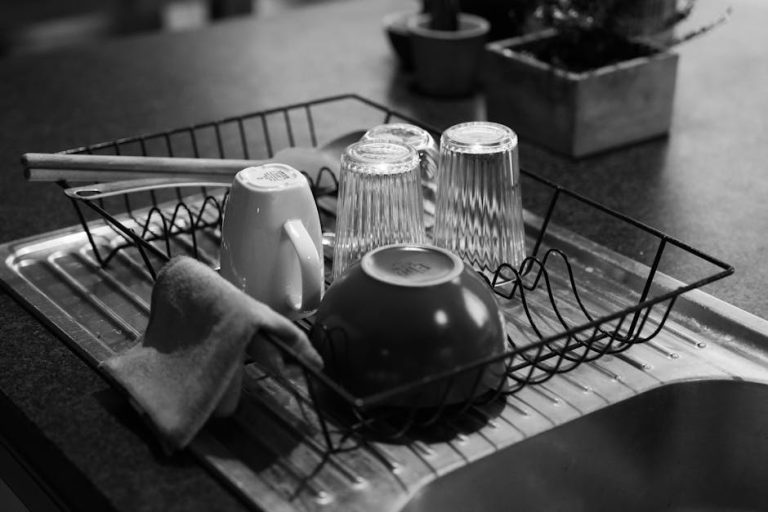 Best over-the-sink dish racks reviewed