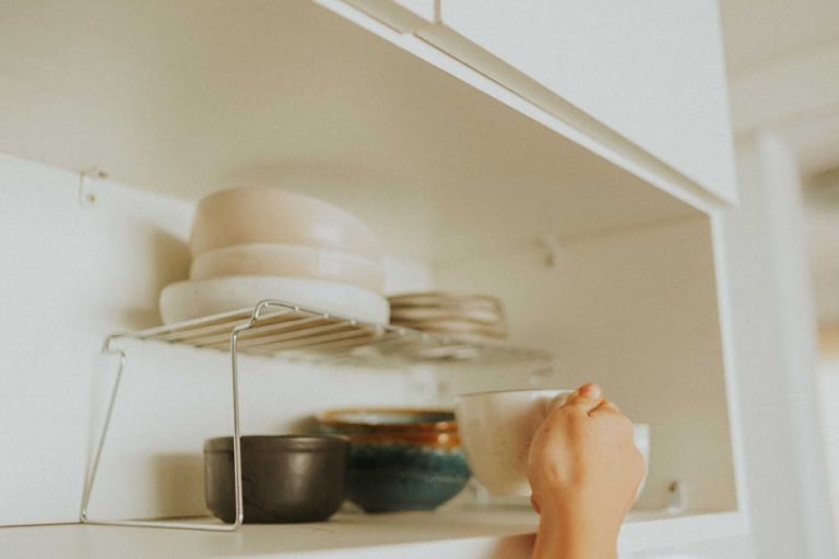 Best under-shelf and cabinet organizers